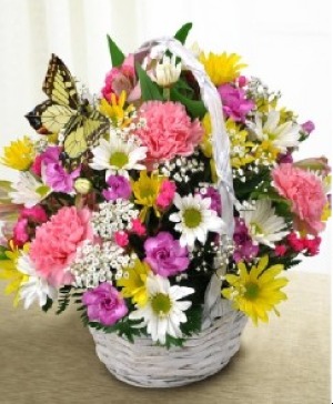 Bright Butterfly Wishes Fresh Flower Arrangement (Local Delivery Only)