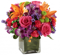 Bright & Cheerful 