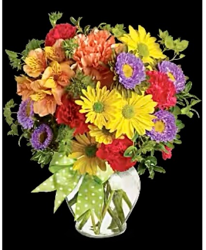 Bright & Cheery 