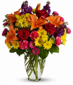Color My World Arrangement