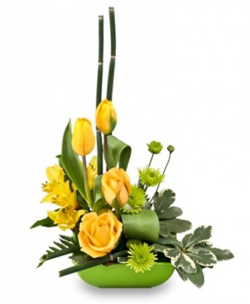 Uplifting Lime & Sunshine Floral Design in Winnipeg, MB | EDELWEISS FLORIST