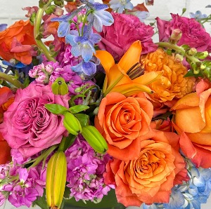 Bright Mix - Designer's Choice  