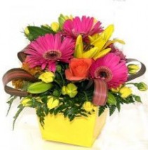 Bright Pot Arrangement In a Yellow Tin   Lovely Arrangement