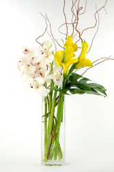 Bright Smile  Arrangement One Sided 