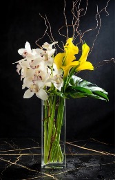 Bright Smile  Arrangement One Sided 