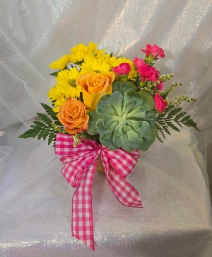 Bright succulent basket Basket Arrangement
