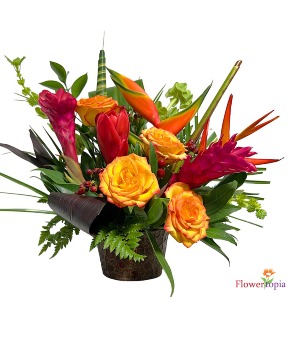 Tropi-flora  Tropical Flower Arrangement