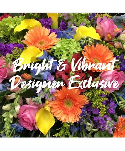 Bright & Vibrant 