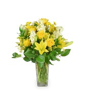 Bright Wishes FRESH ARRANGEMENT