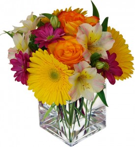 Brighten Your Day   in Charlotte, NC | L & D FLOWERS OF ELEGANCE