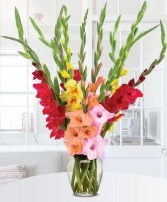 Brighten Your Day  seasonal gladious arrangement