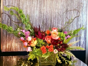 Brighten Your Day Lavish Collection