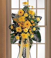 Brighter Blessing Spray 