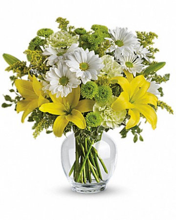 Brightly Blooming TEV11-2 15"(w) x 15.5"(h)