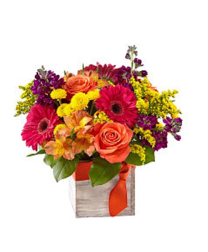 Brights and Bold vase