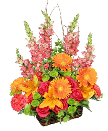 Brilliant Basket Arrangement in Pocatello, ID | CHRISTINE'S FLORAL & GIFTS
