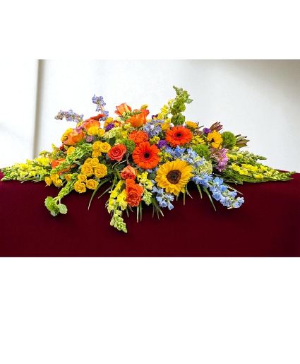 Brilliant Journey CF-BRILLIANT