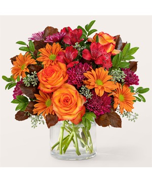 Brisk Morning V5750s Arrangement