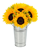 Buckets of Sunshine 