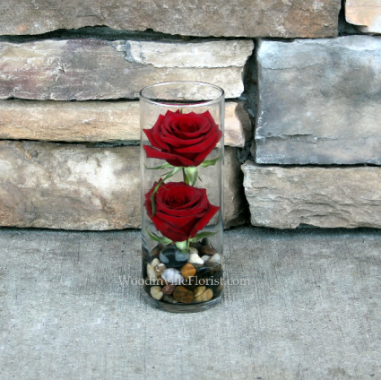 Budding Romance Contemporary Rose Arrangement