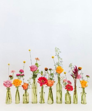 Budding Symphony  