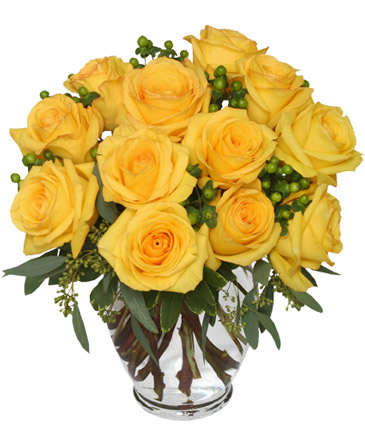 Buenos Dias Sol Mio Arreglo de Rosas  in Dodge City, KS | FLOWERS BY IRENE