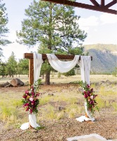 Buffalo Park Flowers and Arch Drape 