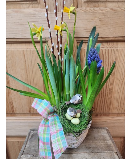 Bulb Garden T&V Original