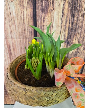 SOLD OUT Bulb Plant Mix NFS-BP