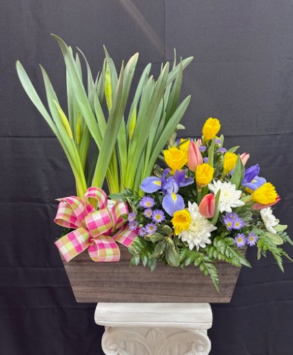 Bulb Plant and Spring Flowers Spring/Easter
