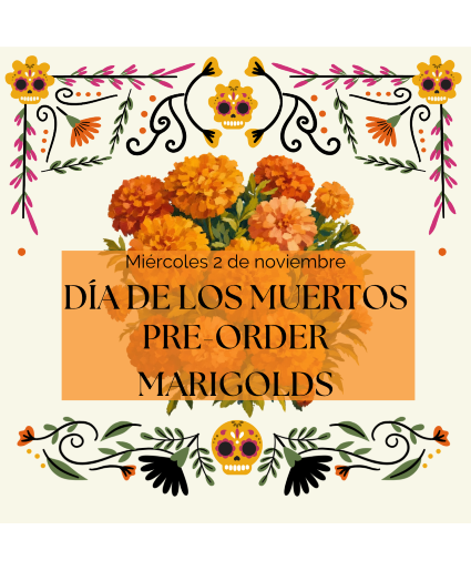 Bulk Flower Marigolds bulk flowers