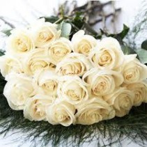 Bulk Premium Roses Bulk Premium Roses