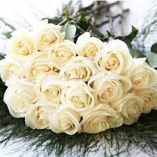 Bulk Premium Roses Bulk Premium Roses