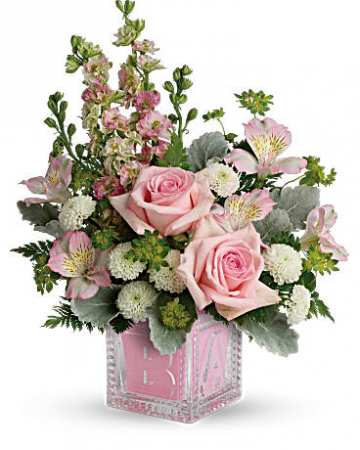 Bundle Of Joy TNB10-1 11.5"(w) x 13"(h) 