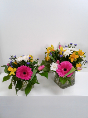  Boxes of Sunshine 2 Sizes Serene Garden Collection 