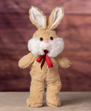 Bunny Plush  