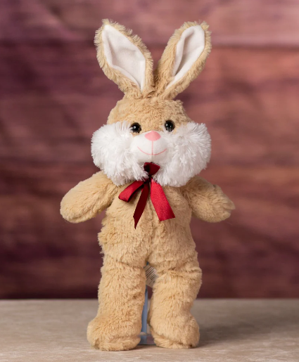 Bunny Plush  