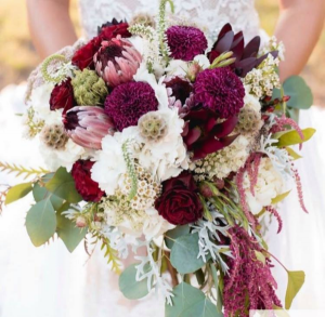 Burgundy Bliss  