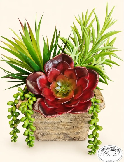 Burgundy Botanical Succulent Planter Fall 2026