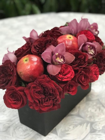 Burgundy Dreams  