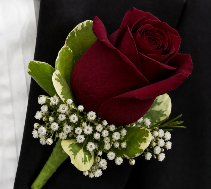 Burgundy Velvet Boutonnière 