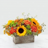 Burning Fall Wooden Box