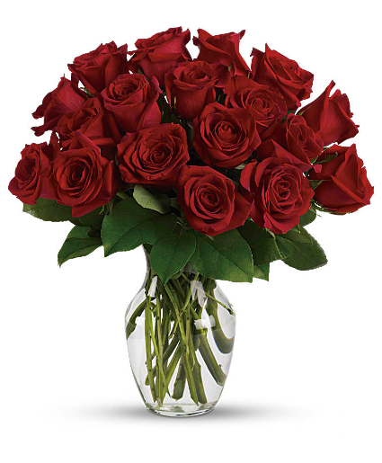 Burning Red Rose Arrangement in Winnipeg, MB - MYRA ROSE FLORIST