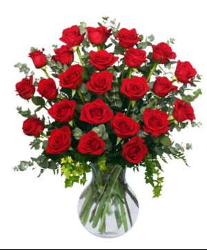 Burning Red Roses 