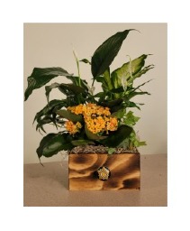 BURNT WOOD GARDEN BOX PLANT GARDEN