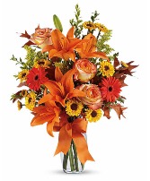 Burst of Autumn 