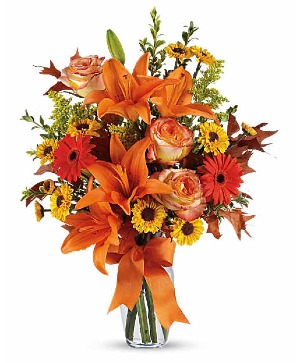 Burst of Autumn 