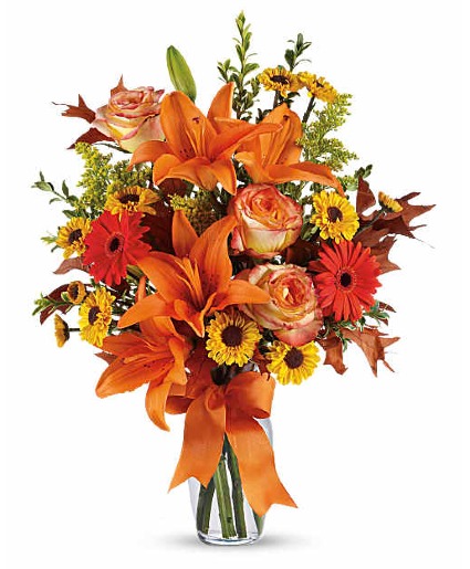 Burst of Autumn 