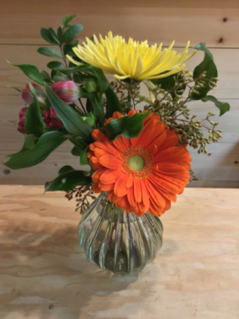 Burst of Spring 