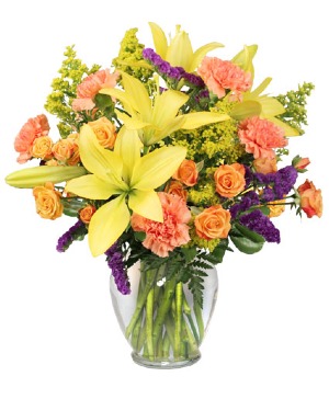 Bursting With Glee! fresh arrangement